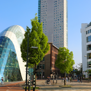 Image Eindhoven